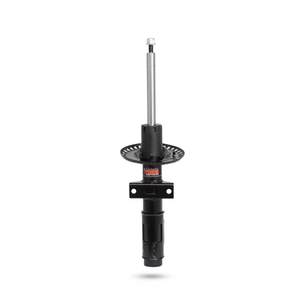 129028 Front Shocks