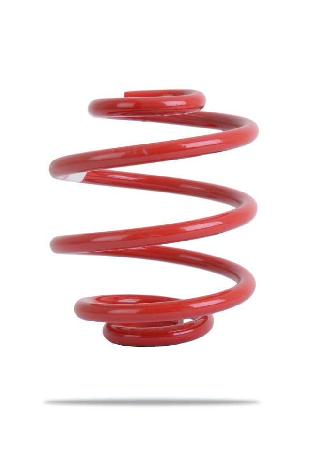 2001 Rear Spring Low
