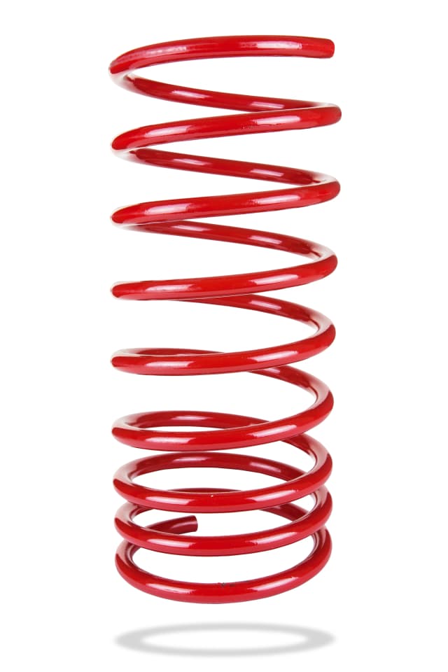2004 Rear Spring Low