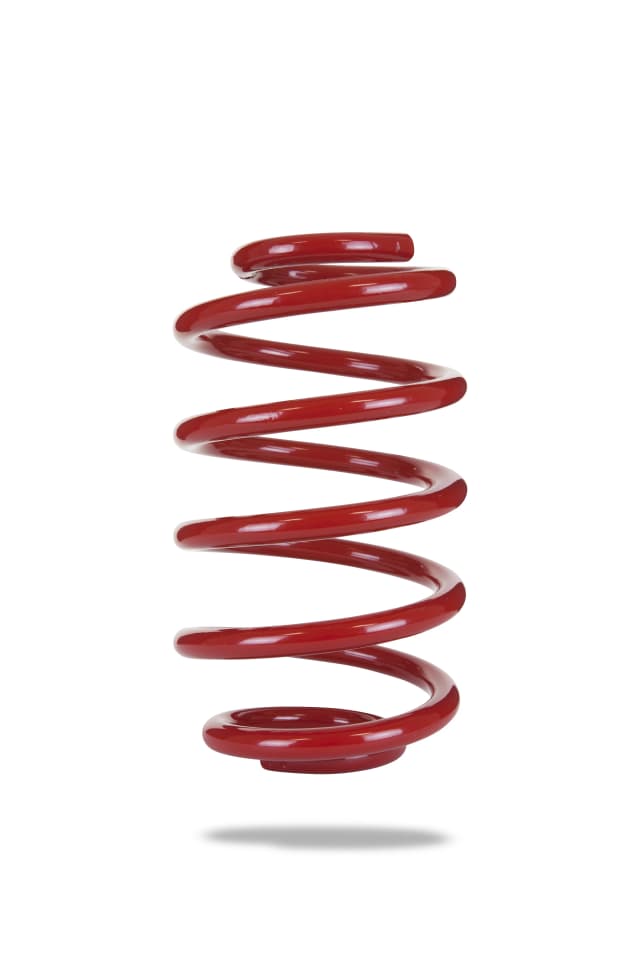 2024 Rear Spring Low