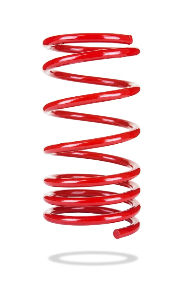 2025 Rear Spring Low
