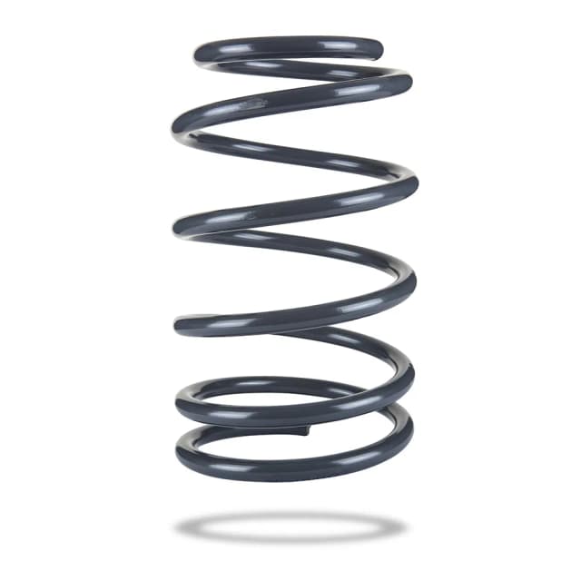 202954 Front Spring Low