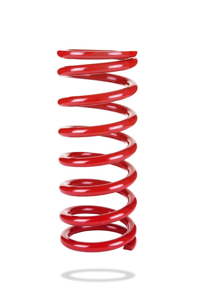 2043 Rear Spring Low
