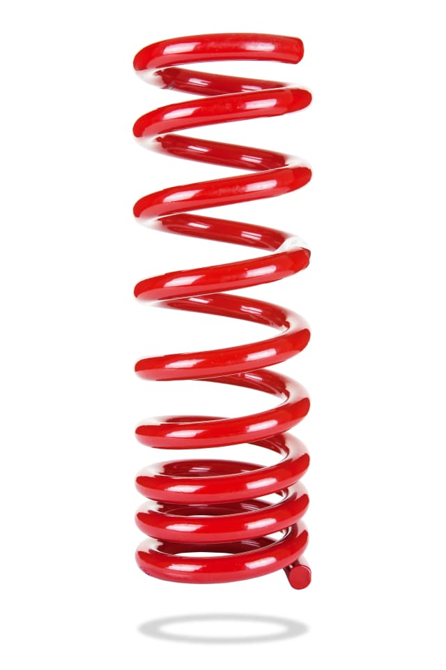 2051 Rear Spring Low