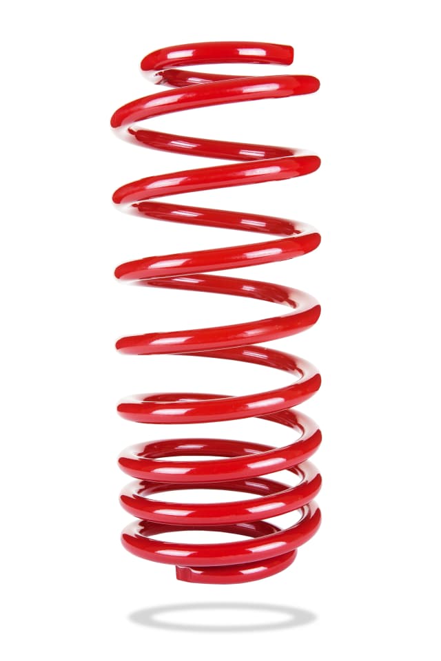 2059 Rear Spring Low
