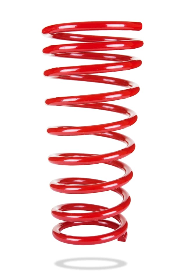 2073 Rear Spring Low