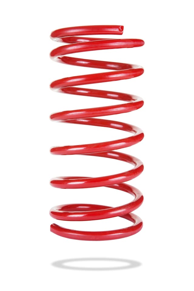 2076 Rear Spring Low