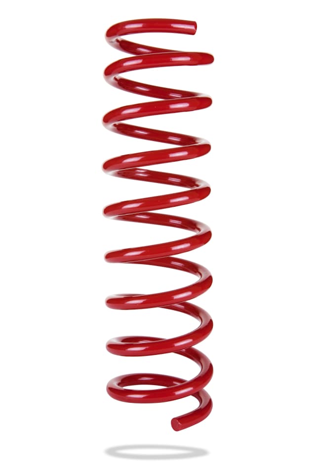 2089 Rear Spring Low