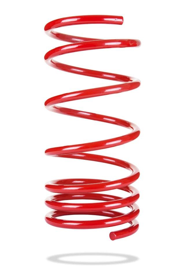 2091 Rear Spring Low