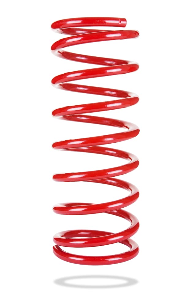 2101 Rear Spring Low