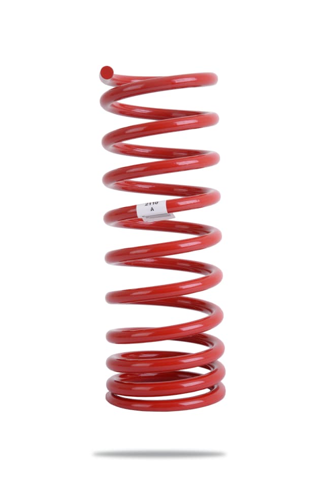 2110 Rear Spring Standard