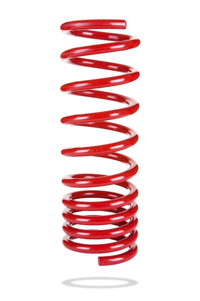 2121 Rear Spring Standard