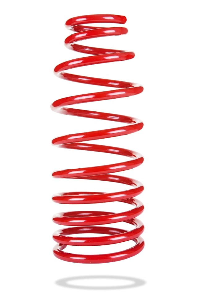 2139 Rear Spring Low