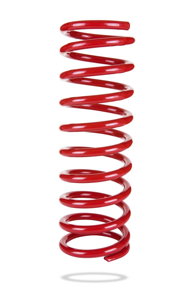 2161 Rear Spring Low