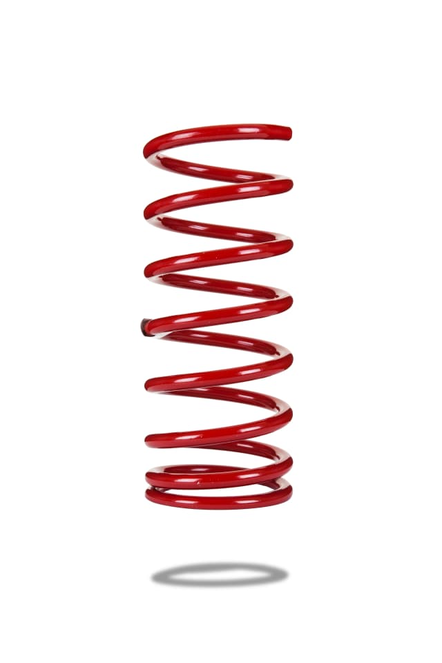 220020 Front Spring Low