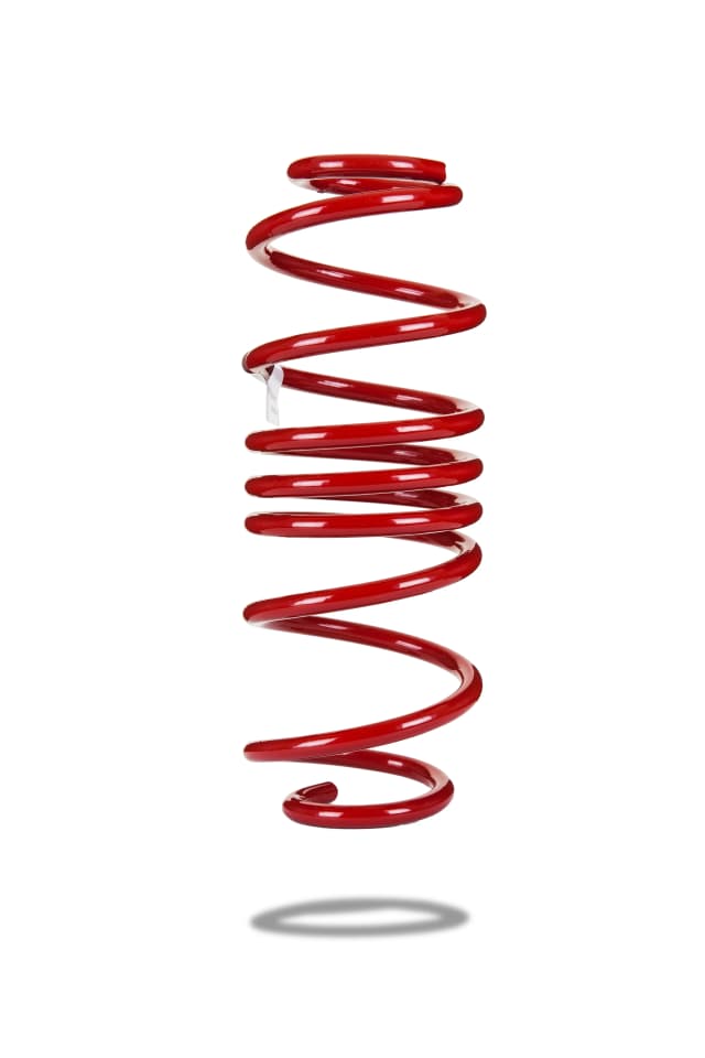 220021 Rear Spring Low