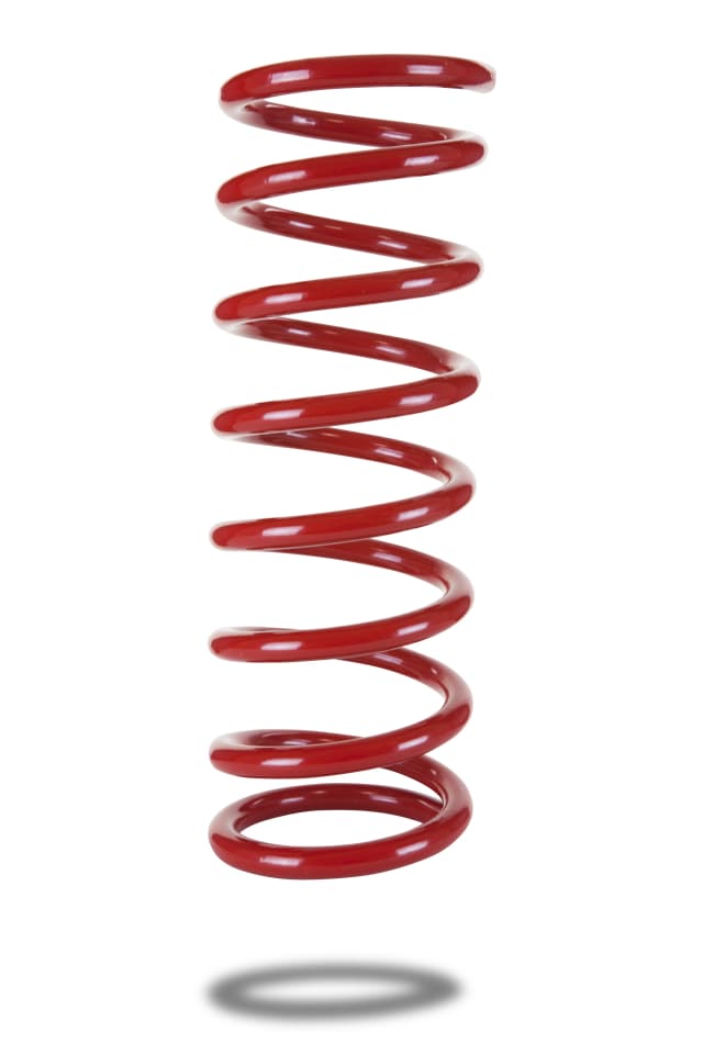 220023 Rear Spring Low