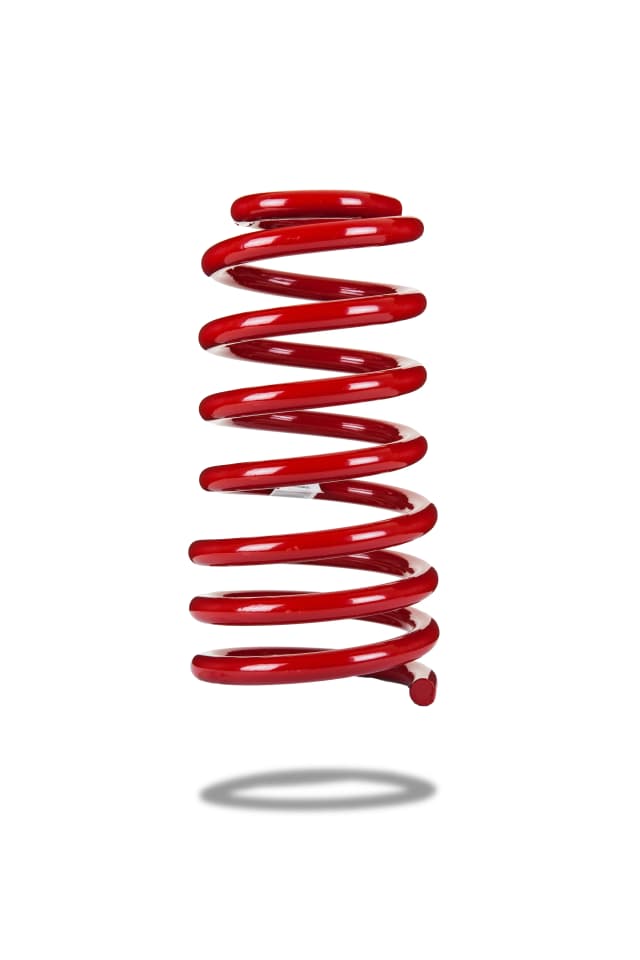220033 Rear Spring Low
