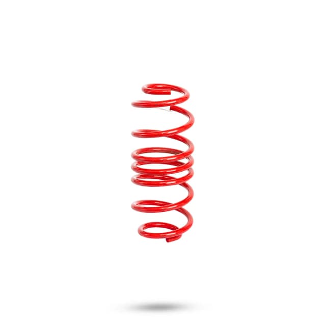 220037 Rear Spring Low