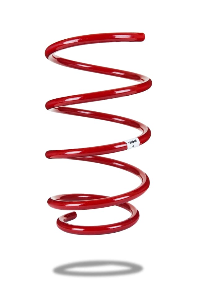 220048 Front Spring Low