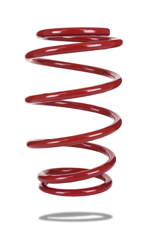 220070 Front Spring Low