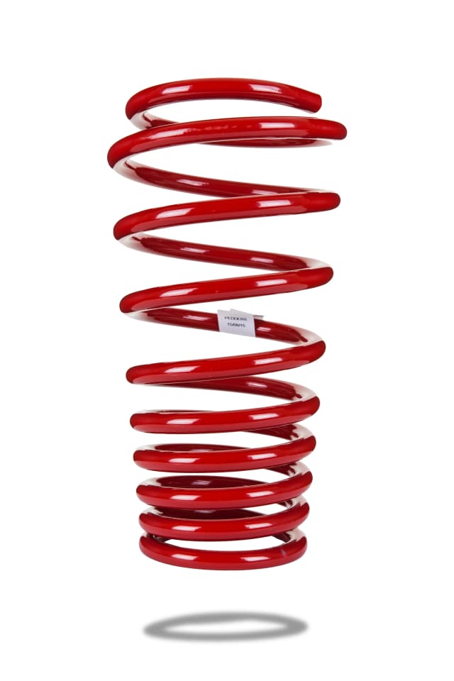 220071 Rear Spring Low