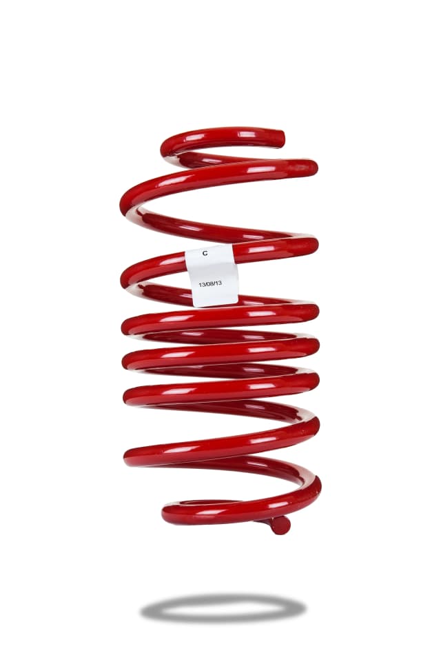 220073 Rear Spring Low