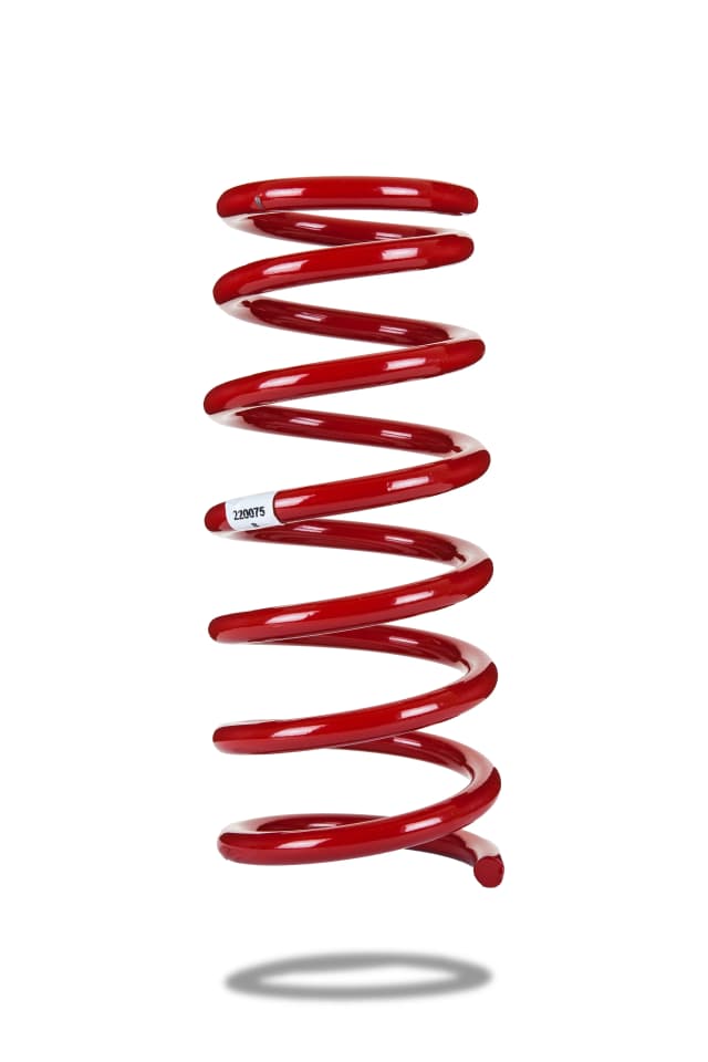 220075 Front Spring Low