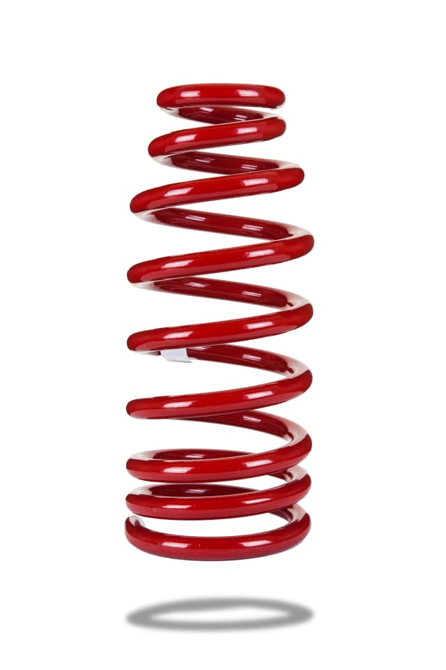 220076 Rear Spring Low