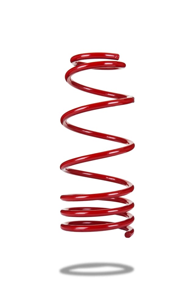 220083 Rear Spring Low