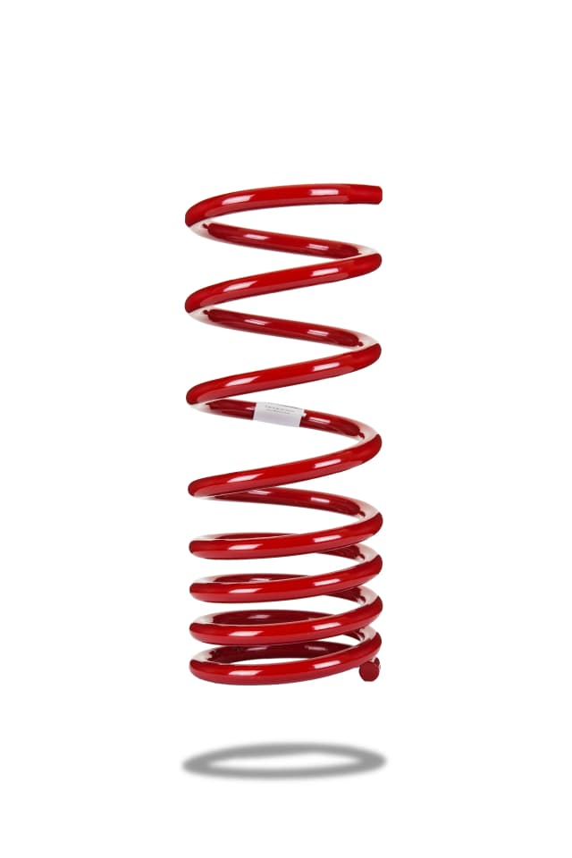 220088 Rear Spring Low