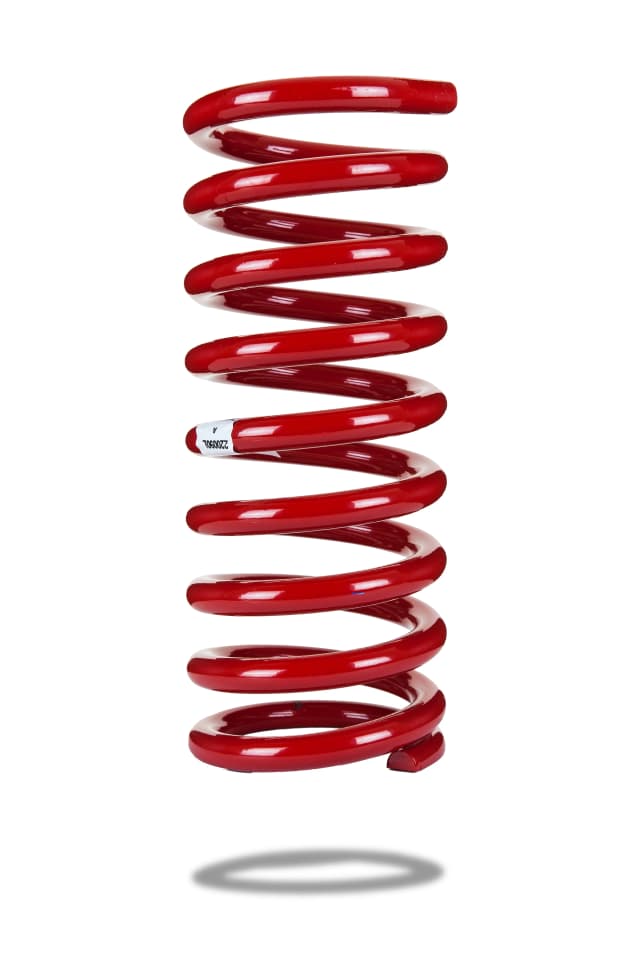 220090L Front Spring Low