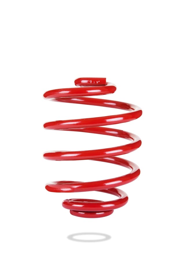 2201 Rear Spring Low