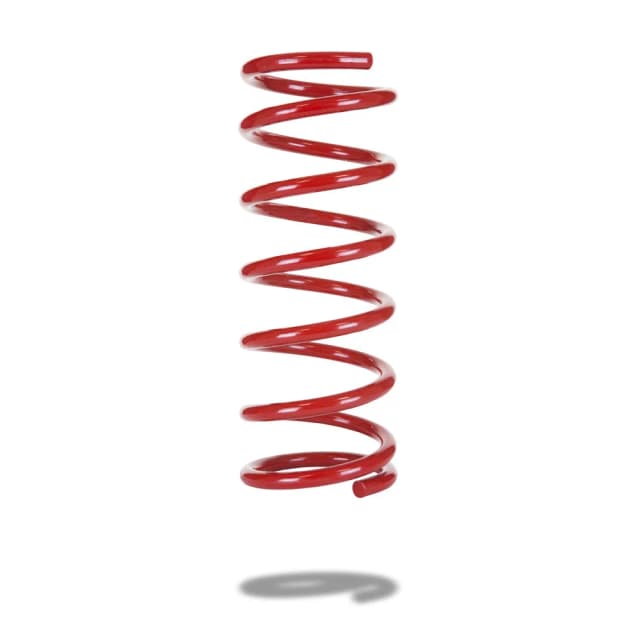 220102 Rear Spring Standard