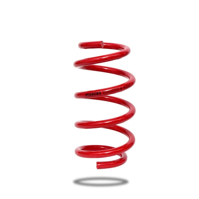 220233 Rear Spring Low