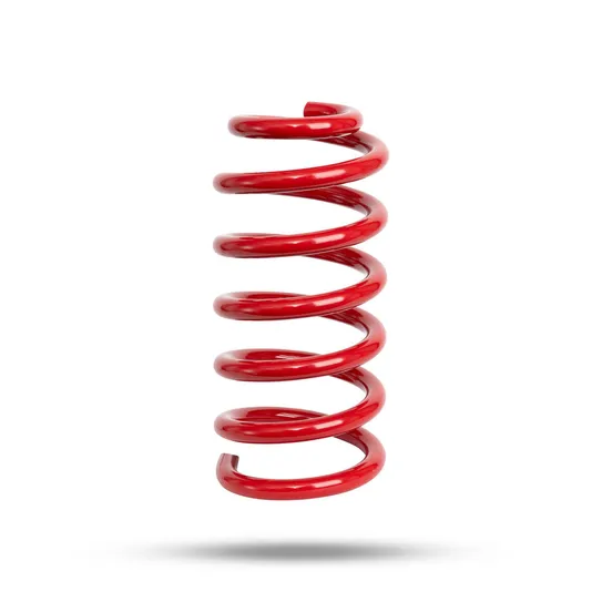 220236 Front Spring Low
