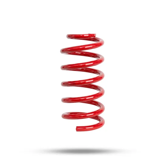 220237 Front Spring Low