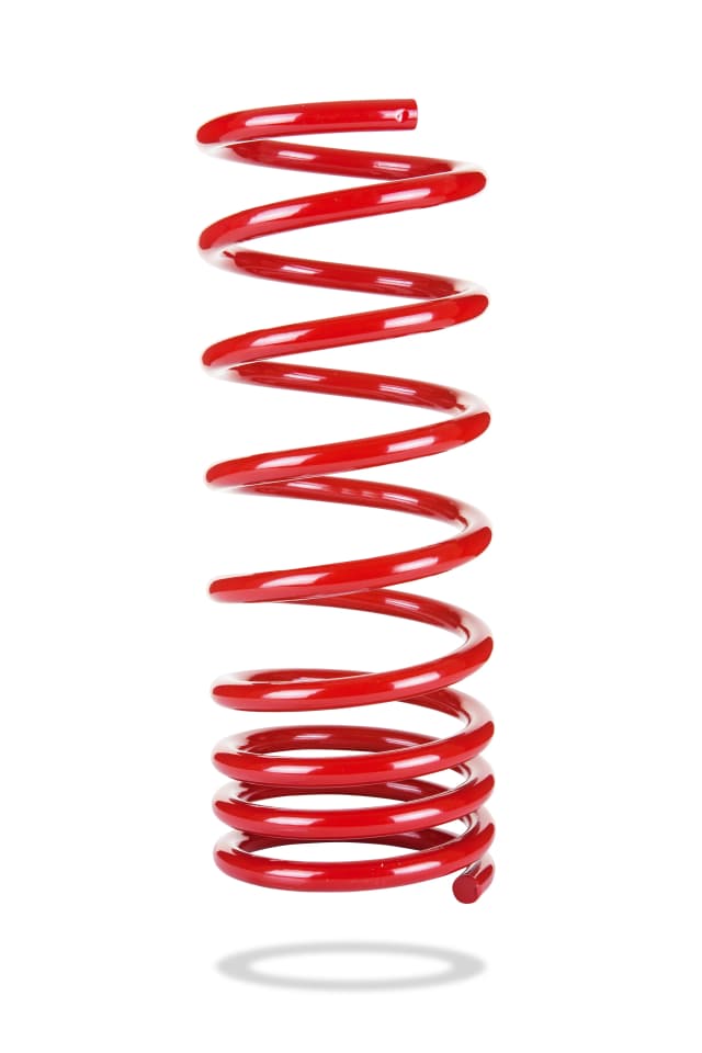 2217 Rear Spring Low