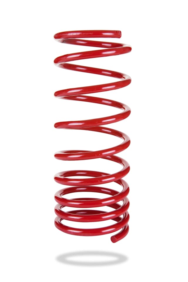 2237 Rear Spring Low