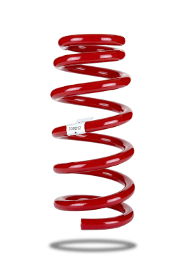 230017 Rear Spring Standard