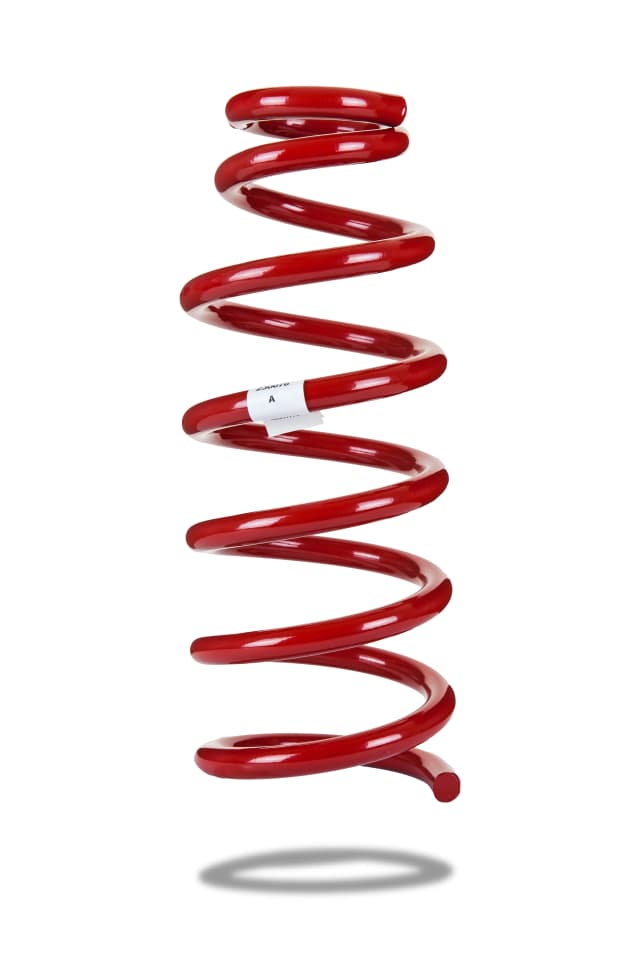 230076 Rear Spring Standard
