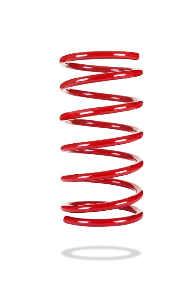 2319 Rear Spring Low