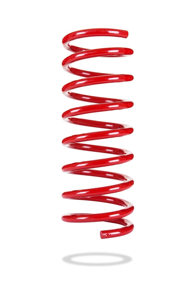 2323 Rear Spring Low