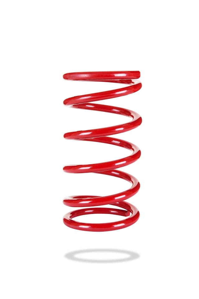 2329 Rear Spring Low
