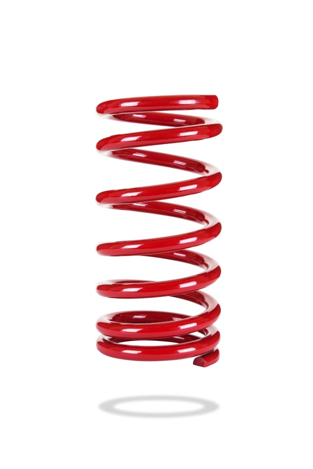 2415 Rear Spring Low
