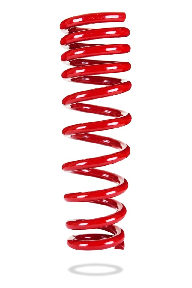 2440 Rear Spring Low