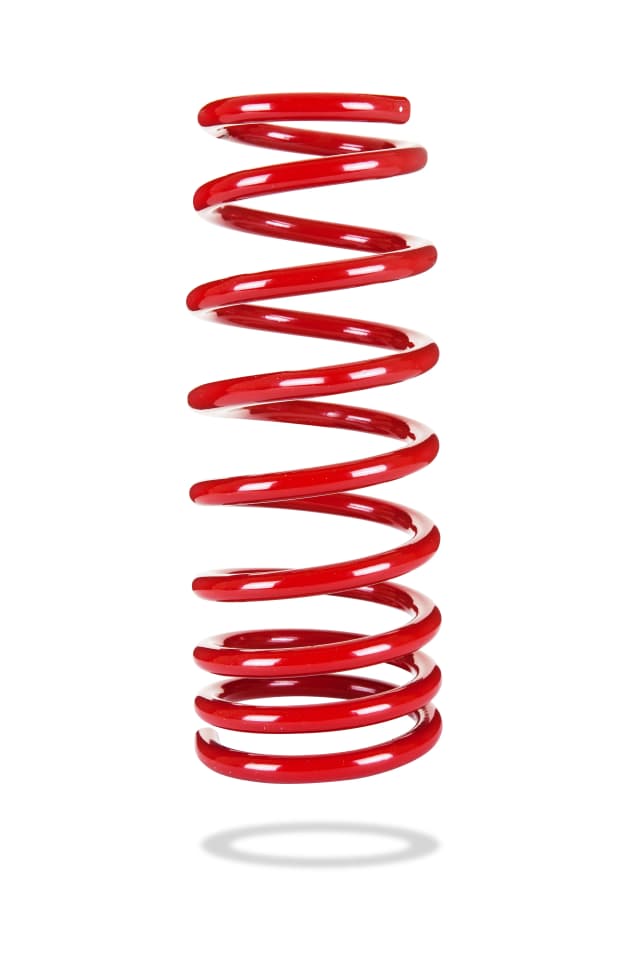 2559 Rear Spring Low