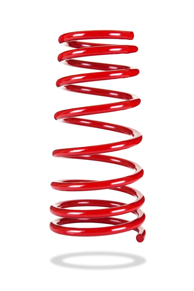 2565 Rear Spring Low