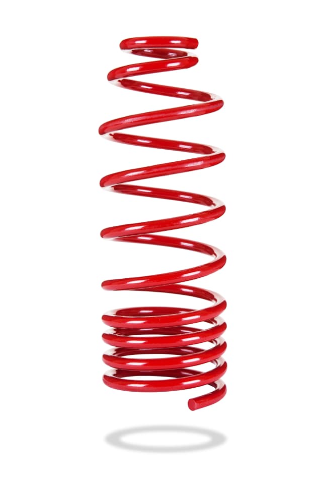2575 Rear Spring Low
