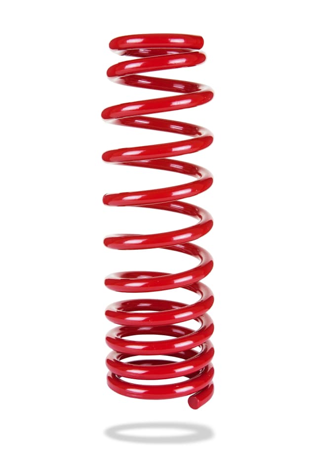 2581 Rear Spring Low